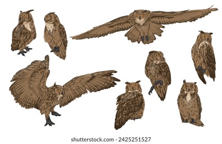 Búho de águila euroasiática Bubo bubo set. Pájaros salvajes de la noche de la presa del bosque. Animal vector realista