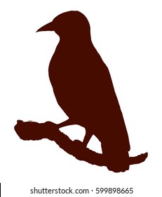 Eurasian Golden Oriole on light sky backdrop. Dark ink hand drawn picture logo sketchy in art scribble retro style pen on paper. Closeup side view with space for text