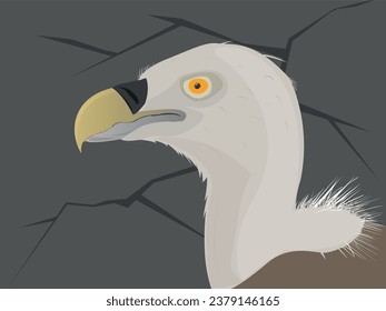 Eurasian Griffon (Gyps Fulvus)  cartoon vector.  Rocky background