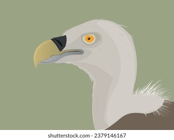 Eurasian Griffon (Gyps Fulvus)  cartoon vector