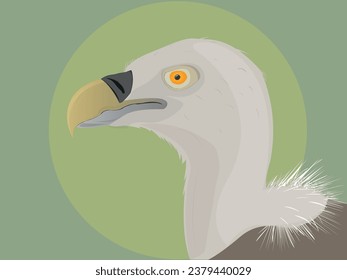 Eurasian Griffon (Gyps Fulvus)  cartoon vector. Nature animal and big sun behind