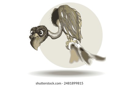 Eurasian Griffon (Gyps Fulvus) cartoon vector