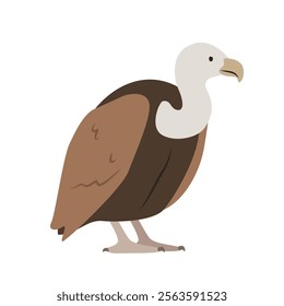 Eurasian griffon vulture cartoon clipart. Vulture vector illustration in flat style. Hand-drawn wild animal concept