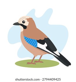 Eurasian jay in flat wildlife style. Eurasian jay illustration featuring Garrulus glandarius, colorful forest bird for learning.