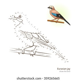 Eurasian jay learn birds educational game learn to draw vector illustration