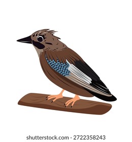 Ilustración vectorial de jay euroasiático. Pájaro del bosque encaramado en rama, plumaje colorido detallado con plumas azules del ala. Aislado en el fondo blanco, la vida silvestre, la naturaleza y el concepto de observación de aves.