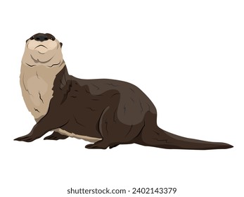 Eurasian otter Lutra lutra looks up. The Eurasian river otter. realistic vector animal