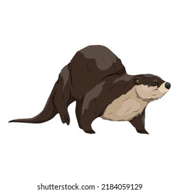 Eurasian otter Lutra lutra runs forward. The Eurasian river otter. Wild semiquatic mammal of Eurasia. realistic vector animal