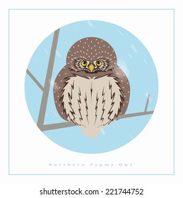 Eurasian pygmy owl (Glaucidium passerinum)