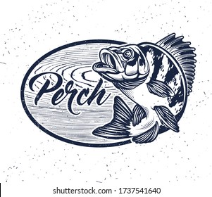 Eurasian River Perch Fish.Perch Fishing Club Emblem. Bass Fishing Logo Isolated on White Background. Vector Illustration.