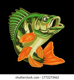 Eurasian River Yellow Perch Fish.Bass Fishing Logo Isolated on Black Background. Vector Illustration.