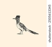 Eurasian Roadrunner bird - Colored Silhouette Vector Illustration