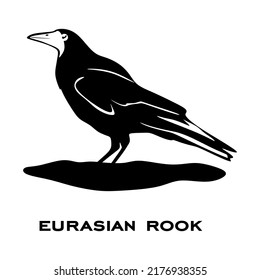 Eurasian rook logo isolated on white background. Bird sign. Eurasian rook silhouette. Minimalist bird icon vector illustration