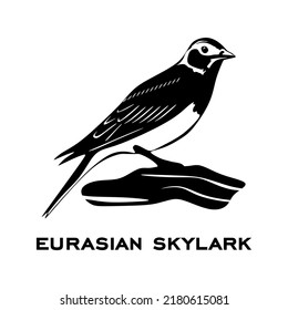 Eurasian Skylark Logo Isolated On White Stock Vector (Royalty Free ...