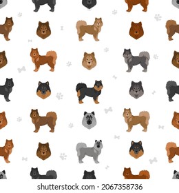 Eurasier dog seamless pattern. Different poses, coat colors set.  Vector illustration