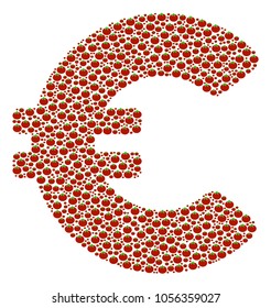 Euro collage of tomato vegetables. Vector tomato vegetable elements are organized into euro shape. Vegetable vector design concept.