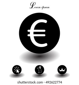 Euro flat icon. Vector illustration.