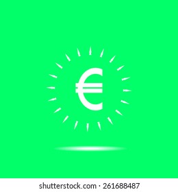 Euro icon. 