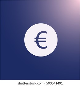 Euro icon