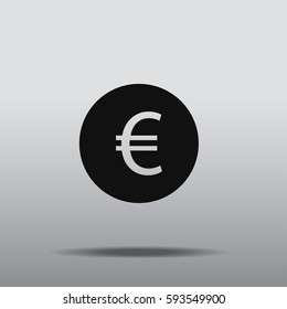 Euro icon