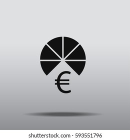Euro icon