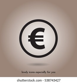 Euro vector icon