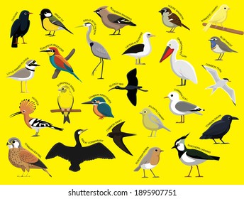 Europe Birds with Name Cartoon Character Set 1