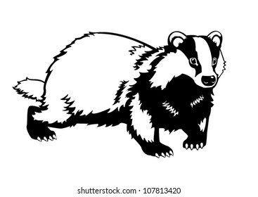  European badger, black and white vector image, side view picture isolated on white background,horizontal