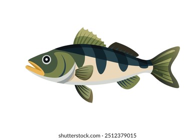 European Bass under water animal flat vector illustration.