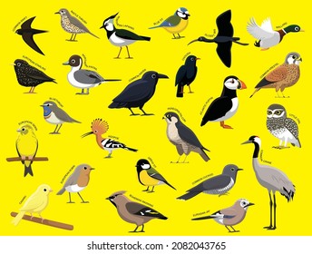 European Birds with Name Cartoon Character Set 1