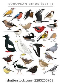 Aves Europeas Fija Cartoon Vector Cartoon 1