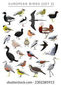 European Birds Set Cartoon Vector Character 3
