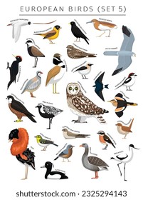 European Birds Set Cartoon Vector Character 5