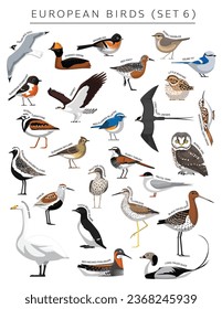 European Birds Set Cartoon Vector Character 6