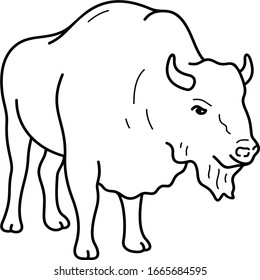European bison. Vector outline icon.