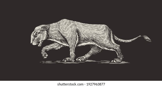 European Cave Lion. Panthera Spelaea. Extinct Steppe Animal. Vintage Retro Vector Illustration. Doodle Style. Hand Drawn Engraved Sketch