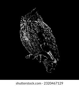 european eagle owl hand drawing vector isolated on black background.