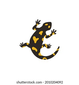 The european fire salamander isolated on white background. Vector illustration of poisonous black amphibian or lizard with yellow spots. Exotic lizard for poster about wildlife.