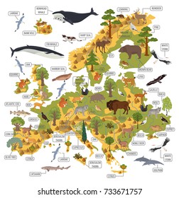 European Flora Fauna Map Isolated On Stock Vector (Royalty Free ...