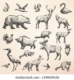 european forrest wild animals collection of stylized vector hand draw silhouettes 