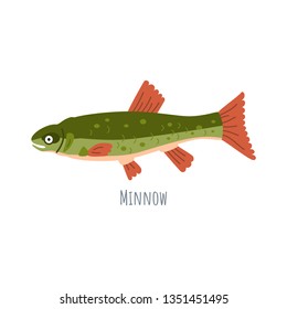 European Freshwater fish - Minnow. Cartoon character fish Phoxinus isolated on white background.