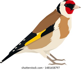 European goldfinch bird Vector illustration Isolated object set