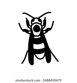 European Hornet Glyph Icon, Vector illustration