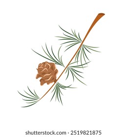 European larch tree branch and cone vector illustration. Tamarack Larch or Larix laricina. Christmas design element isolated on white background for print, card, flyer, banner