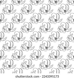 European magnolia. Seamless pattern with outline magnolia flower, ornate buds and leaves on the white background. Elegance floral background in contour style for summer design and coloring book.