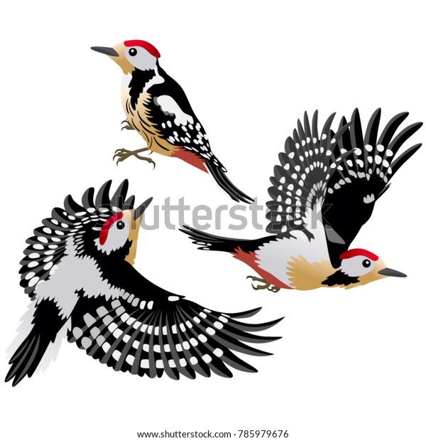 woodpeckers cartoon