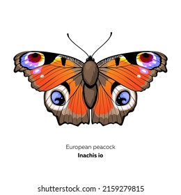 Europäischer Pfauenschmetterling, Inachis io, Vektorgrafik