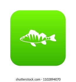 European Perch, Perca Fluviatilis Icon Digital Green For Any Design Isolated On White Vector Illustration