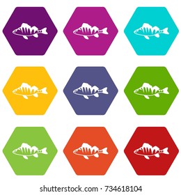 European Perch, Perca Fluviatilis Icon Set Many Color Hexahedron Isolated On White Vector Illustration