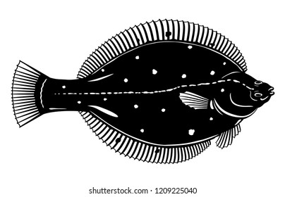 European Plaice Fish Black And White